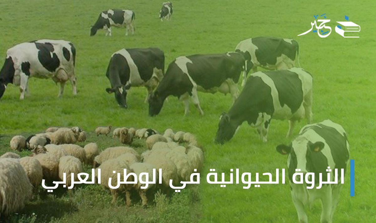 الثروة الحيوانية