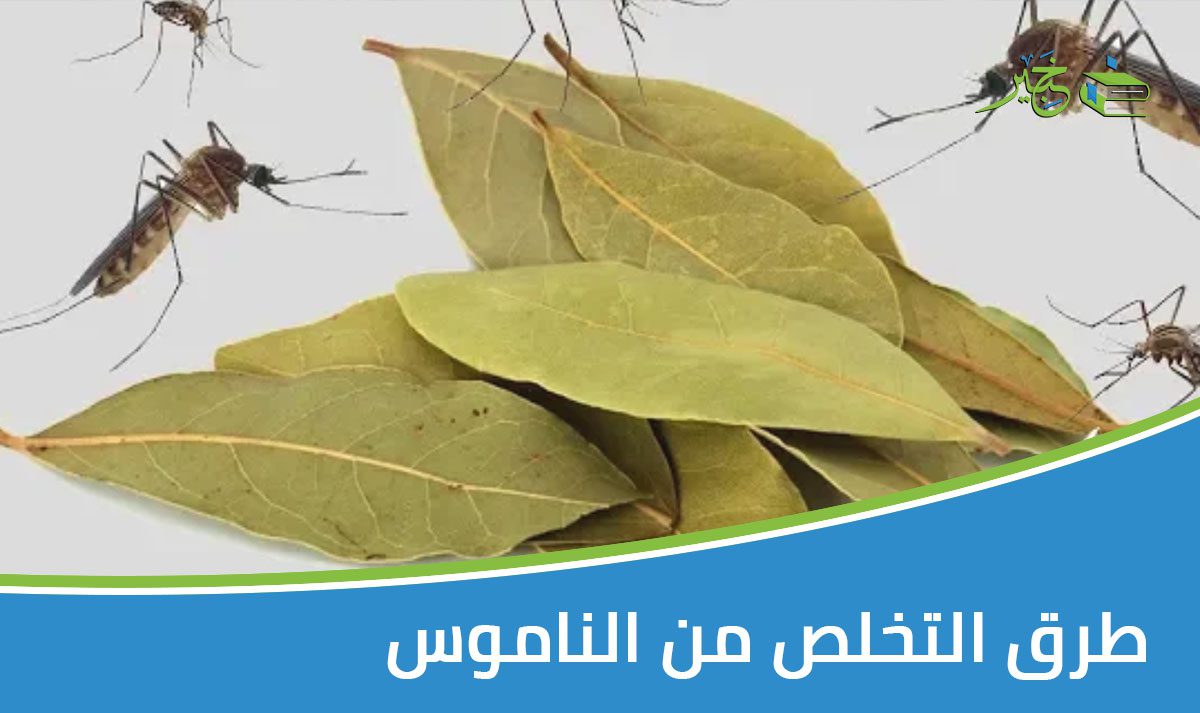 طرق التخلص من الناموس