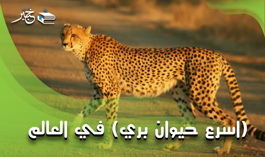 اسرع حيوان بري