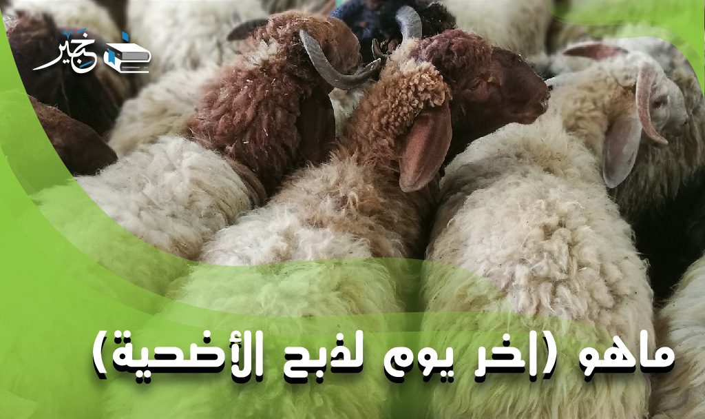 اخر يوم لذبح الأضحية